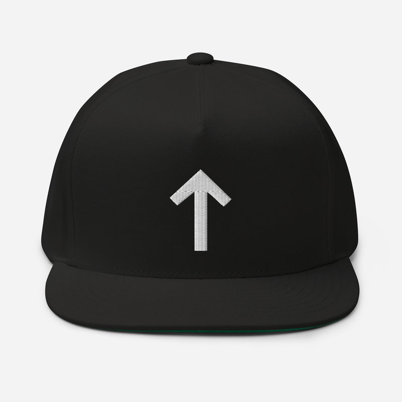 Tiwaz Snapback Hat