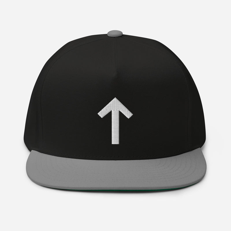Tiwaz Snapback Hat